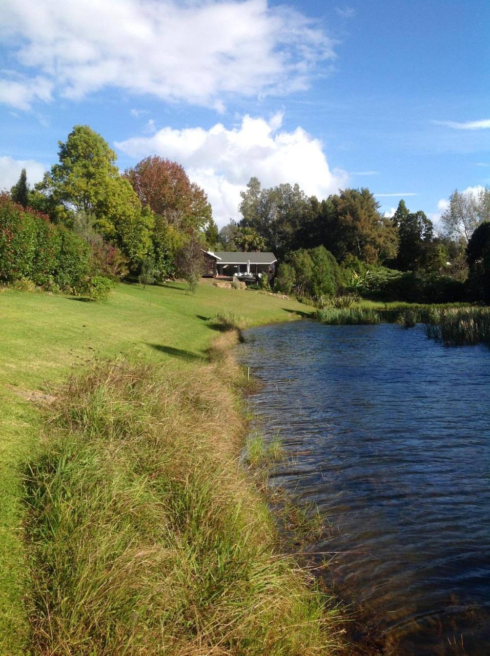 Lakehouse Studio Kerikeri Luaran gambar