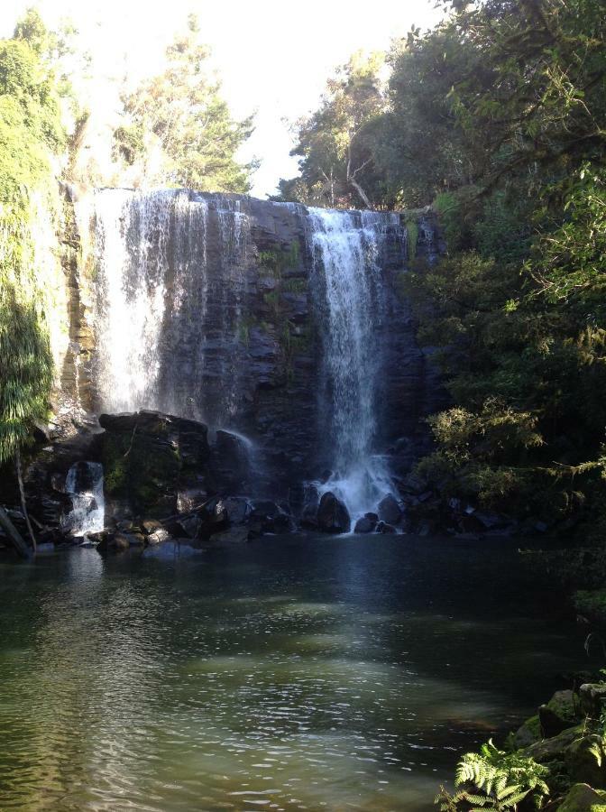 Lakehouse Studio Kerikeri Luaran gambar